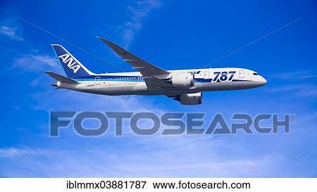 All Nippon Airways Boeing 787-8 Dreamliner in flight View Large Photo Image Stock Photo - All Nippon Airways Boeing 787-8 Dreamliner in flight. Fotosearch