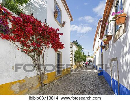 "Alley with floral decorations, Obidos, Leiria District, Portugal, Europe" View Large Photo Image Picture - "Alley with floral decorations, Obidos, Leiria District, Portugal, Europe". Fotosearch