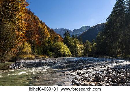"Alm, Almfluss in autumn, Grunau, Almtal, Salzkammergut, Upper Austria, Austria, Europe" View Large Photo Image Stock Image - "Alm, Almfluss in autumn, Grunau, Almtal, Salzkammergut, Upper Austria, Austria, Europe". Fotosearch