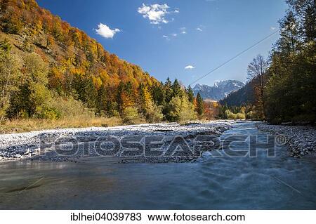 "Alm, Almfluss in autumn, Grunau, Almtal, Salzkammergut, Upper Austria, Austria, Europe" View Large Photo Image Stock Image - "Alm, Almfluss in autumn, Grunau, Almtal, Salzkammergut, Upper Austria, Austria, Europe". Fotosearch