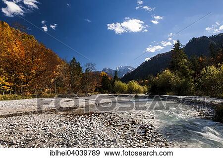 "Alm, Almfluss in autumn, Grunau, Almtal, Salzkammergut, Upper Austria, Austria, Europe" View Large Photo Image Stock Photo - "Alm, Almfluss in autumn, Grunau, Almtal, Salzkammergut, Upper Austria, Austria, Europe". Fotosearch
