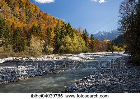 "Alm, Almfluss in autumn, Grunau, Almtal, Salzkammergut, Upper Austria, Austria, Europe" View Large Photo Image Stock Photography - "Alm, Almfluss in autumn, Grunau, Almtal, Salzkammergut, Upper Austria, Austria, Europe". Fotosearch