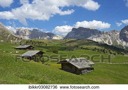 "Alm alpine pastures on Seceda Mountain, Grodnertal, Dolomiten, South Tyrol province, Trentino-Alto Adige, Italy, Europe" View Large Photo Image Stock Photograph - "Alm alpine pastures on Seceda Mountain, Grodnertal, Dolomiten, South Tyrol province, Trentino-Alto Adige, Italy, Europe". Fotosearch
