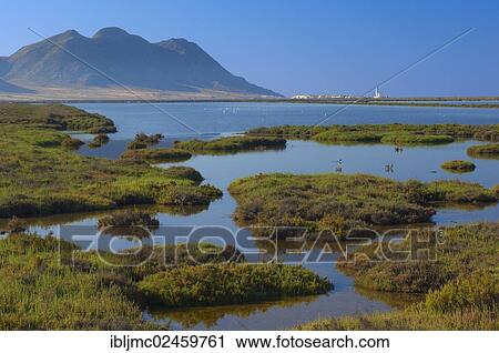 Stock Image - "Almadraba de Monteleva, saltworks, Cabo de Gata-Nijar Natural Park, biosphere reserve, Almeria province, Andalusia, Spain, Europe". Fotosearch