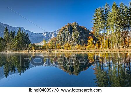 Stock Photo - "Almsee lake, trees with reflection in autumn, Ameisstein, Totes Gebirge mountains, Grunau, Almtal, Salzkammergut, Upper Austria, Austria, Europe". Fotosearch