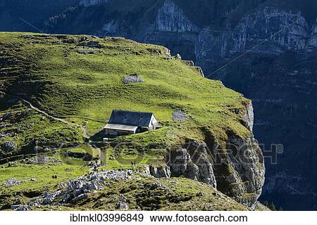 "Alp Chlus on an exposed rock in the Appenzell Alps, Canton of Appenzell Innerrhoden, Switzerland, Europe" View Large Photo Image Stock Photo - "Alp Chlus on an exposed rock in the Appenzell Alps, Canton of Appenzell Innerrhoden, Switzerland, Europe". Fotosearch
