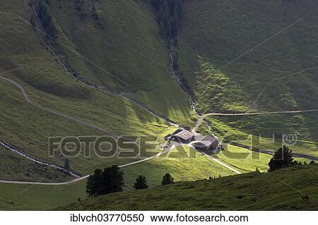 "Alp in the last evening light, Mt Grosser Galtenberg, Alpbachtal valley, Tyrol, Austria, Europe" View Large Photo Image Stock Image - "Alp in the last evening light, Mt Grosser Galtenberg, Alpbachtal valley, Tyrol, Austria, Europe". Fotosearch