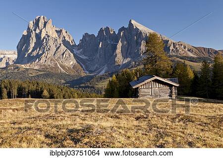 "Alpe di Siusi mountain pasture, Sassolungo Mountains, Sassopiatto Mountain, Alto Adige, Dolomites, Italy, Europe" View Large Photo Image Picture - "Alpe di Siusi mountain pasture, Sassolungo Mountains, Sassopiatto Mountain, Alto Adige, Dolomites, Italy, Europe". Fotosearch