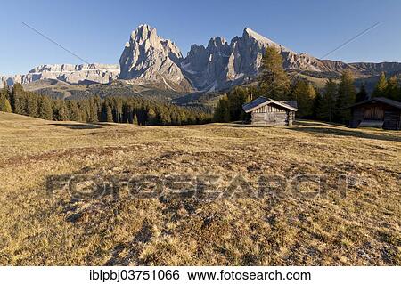 Stock Photograph - "Alpe di Siusi mountain pasture, Sassolungo Mountains, Sassopiatto Mountain, Alto Adige, Dolomites, Italy, Europe". Fotosearch