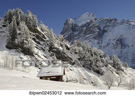 "Alpine cabin in snow, at back the Wetterhorn Mountain, Switzerland, Europe" View Large Photo Image Stock Image - "Alpine cabin in snow, at back the Wetterhorn Mountain, Switzerland, Europe". Fotosearch