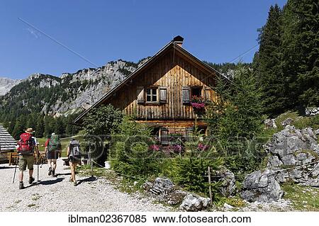 "Alpine cabin on the Wurzeralm alp, Spital am Pyhrn, Pyhrn-Priel, Traunviertel region, Upper Austria, Austria, Europe" View Large Photo Image Stock Photography - "Alpine cabin on the Wurzeralm alp, Spital am Pyhrn, Pyhrn-Priel, Traunviertel region, Upper Austria, Austria, Europe". Fotosearch