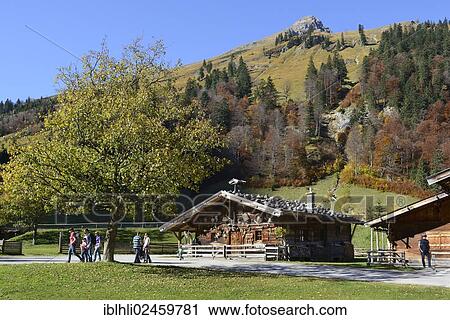 "Alpine cabin or chalet, Eng Alm, Grosser Ahornboden, alpine pasture with sycamore maple trees, Karwendel Mountains, Risstal Valley, Tyrol, Austria, Europe, PublicGround, Europe" View Large Photo Image Stock Image - "Alpine cabin or chalet, Eng Alm, Grosser Ahornboden, alpine pasture with sycamore maple trees, Karwendel Mountains, Risstal Valley, Tyrol, Austria, Europe, PublicGround, Europe". Fotosearch