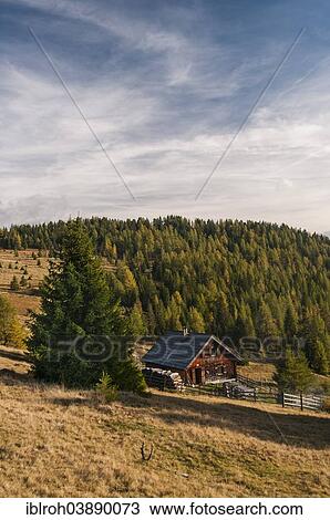 Stock Image - "Alpine chalet in autumn, Lungau Region, Salzburg, Austria, Europe". Fotosearch