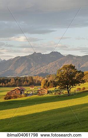 "Alpine landscape with barn, with a view of the Wetterstein range, Murnau, Upper Bavaria, Bavaria, Germany, Europe" View Large Photo Image Stock Photo - "Alpine landscape with barn, with a view of the Wetterstein range, Murnau, Upper Bavaria, Bavaria, Germany, Europe". Fotosearch