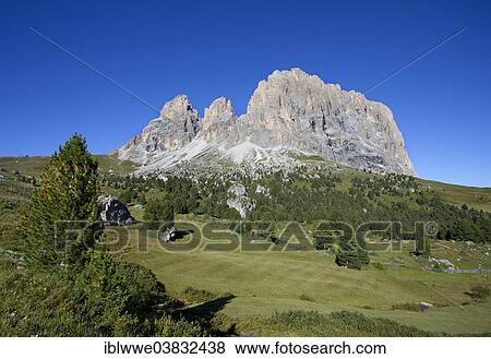 "Alpine meadow, Langkofel Group, Grohmannspitze Mountain, left, Funffingerspitze or Five Finger Peak, centre, Langkofel Mountain, right, Sella Pass, Dolomites, Alto Adige, Italy, Europe" View Large Photo Image Stock Photo - "Alpine meadow, Langkofel Group, Grohmannspitze Mountain, left, Funffingerspitze or Five Finger Peak, centre, Langkofel Mountain, right, Sella Pass, Dolomites, Alto Adige, Italy, Europe". Fotosearch