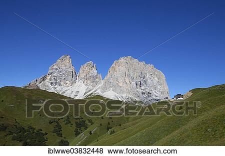 "Alpine meadow, Langkofel Group, Grohmannspitze Mountain, left, Funffingerspitze or Five Finger Peak, centre, Langkofel Mountain, right, summit of Sella Pass, Dolomites, Alto Adige, Italy, Europe" View Large Photo Image Stock Photo - "Alpine meadow, Langkofel Group, Grohmannspitze Mountain, left, Funffingerspitze or Five Finger Peak, centre, Langkofel Mountain, right, summit of Sella Pass, Dolomites, Alto Adige, Italy, Europe". Fotosearch