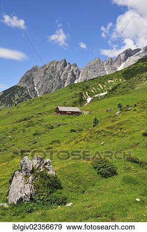 "Alpine pasture, Hochkoenig massif, Muehlbach, Salzburg, Austria, Europe" View Large Photo Image Stock Photo - "Alpine pasture, Hochkoenig massif, Muehlbach, Salzburg, Austria, Europe". Fotosearch