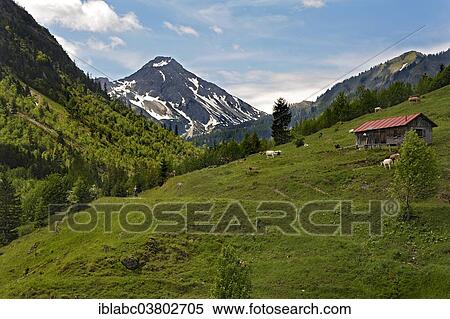 "Alpine pasture, mountain landscape near Hinterstein, Allgau, Bavaria, Germany, Europe" View Large Photo Image Stock Photography - "Alpine pasture, mountain landscape near Hinterstein, Allgau, Bavaria, Germany, Europe". Fotosearch
