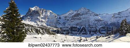 Stock Image - "Alpine slopes in winter looking towards Wetterhorn mountain, Grindelwald, Swiss Alps, Switzerland, Europe". Fotosearch