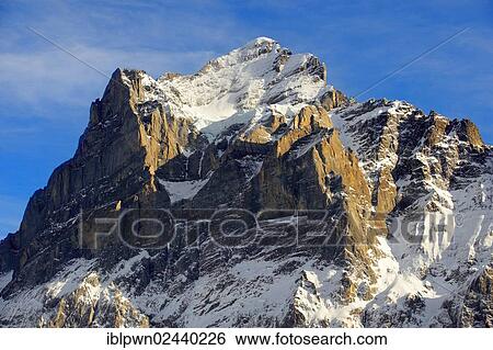 Stock Photograph - "Alpine slopes looking towards the Wetterhorn, Swiss Alps, Switzerland, Europe". Fotosearch