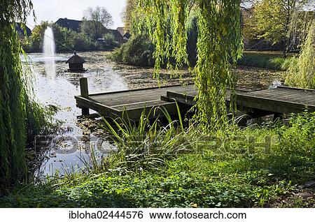 Stock Photograph - "Altendorf Pond, Boizenburg - Elbe, Mecklenburg-Western Pomerania, Germany, Europe". Fotosearch