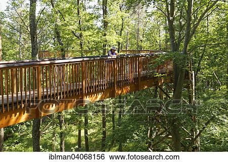Stock Photograph - "Althodis treetop walkway, Geschriebenstein-Irottko nature park, Southern Burgenland, Burgenland, Austria, Europe". Fotosearch