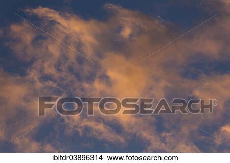 "Altocumulus clouds in sunset light, Andalusia, Spain, Europe" View Large Photo Image Picture - "Altocumulus clouds in sunset light, Andalusia, Spain, Europe". Fotosearch