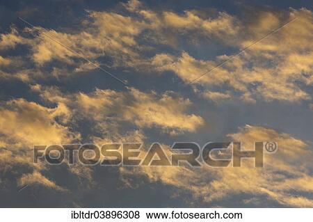 "Altocumulus clouds in sunset light, Andalusia, Spain, Europe" View Large Photo Image Stock Photo - "Altocumulus clouds in sunset light, Andalusia, Spain, Europe". Fotosearch