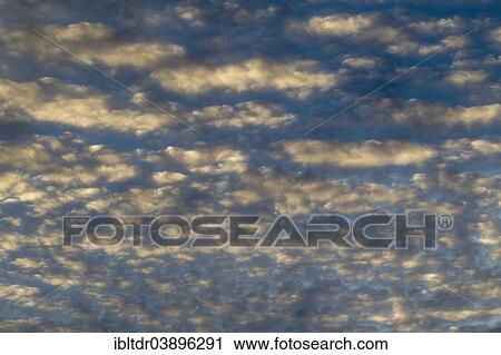 "Altocumulus clouds in the evening, Andalusia, Spain, Europe" View Large Photo Image Stock Image - "Altocumulus clouds in the evening, Andalusia, Spain, Europe". Fotosearch
