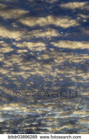 "Altocumulus clouds in the evening, Andalusia, Spain, Europe" View Large Photo Image Stock Photo - "Altocumulus clouds in the evening, Andalusia, Spain, Europe". Fotosearch
