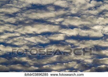 "Altocumulus clouds in the evening, Andalusia, Spain, Europe" View Large Photo Image Stock Photography - "Altocumulus clouds in the evening, Andalusia, Spain, Europe". Fotosearch