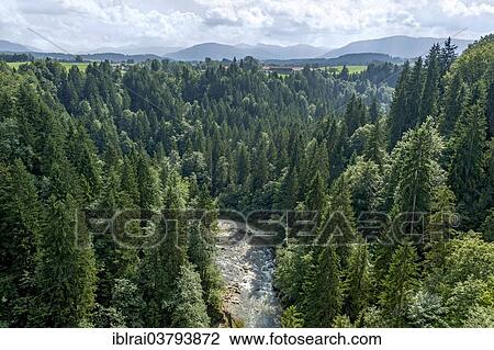 "Ammerschlucht gorge at Echelsbach, Upper Bavaria, Bavaria, Germany, Europe" View Large Photo Image Stock Image - "Ammerschlucht gorge at Echelsbach, Upper Bavaria, Bavaria, Germany, Europe". Fotosearch