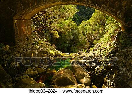 "An almost dried out stream runs underneath a bridge and disappears in the forest-clad valley below, Madeira, Portugal, Europe" View Large Photo Image Stock Image - "An almost dried out stream runs underneath a bridge and disappears in the forest-clad valley below, Madeira, Portugal, Europe". Fotosearch