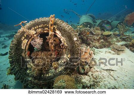 "An anchor made of concrete blocks and old barrels in a coral reef, Philippines, Asia" View Large Photo Image Stock Photo - "An anchor made of concrete blocks and old barrels in a coral reef, Philippines, Asia". Fotosearch