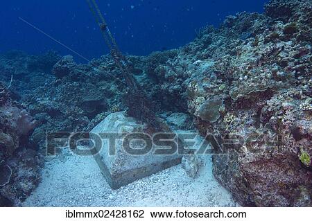 Stock Image - "An anchor made of concrete blocks in the coral reef, Philippines, Asia". Fotosearch