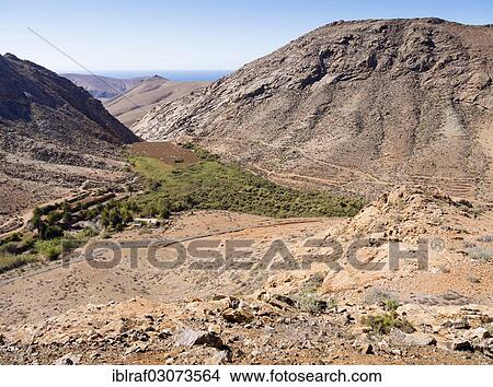 "An oasis in the Parque Rural de Betancuria, Parque Rural de Betancuria, Fuerteventura, Canary Islands, Spain, Europe" View Large Photo Image Picture - "An oasis in the Parque Rural de Betancuria, Parque Rural de Betancuria, Fuerteventura, Canary Islands, Spain, Europe". Fotosearch