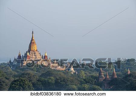 Stock Image - "Ananda Temple, gilded tower structure or Shikhara, Thatbyinnyu Temple, stupas, pagodas, temple complex, in the evening light, Plateau of Bagan, Mandalay Division, Burma or Myanmar". Fotosearch