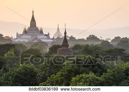 "Ananda Temple, gilded tower structure or Shikhara, Thatbyinnyu Temple, stupas, pagodas, temple complex, in the evening light, Plateau of Bagan, Mandalay Division, Burma or Myanmar" View Large Photo Image Stock Photo - "Ananda Temple, gilded tower structure or Shikhara, Thatbyinnyu Temple, stupas, pagodas, temple complex, in the evening light, Plateau of Bagan, Mandalay Division, Burma or Myanmar". Fotosearch