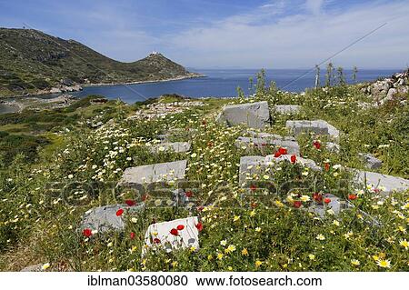 "Ancient city of Knidos, Knidos, near Datca, Datca Peninsula, Mugla Province, Aegean, Turkey, Asia" View Large Photo Image Stock Image - "Ancient city of Knidos, Knidos, near Datca, Datca Peninsula, Mugla Province, Aegean, Turkey, Asia". Fotosearch