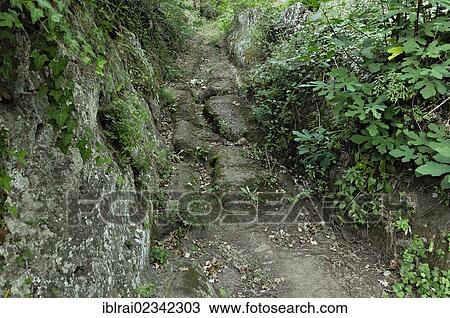 "Ancient Etruscan road with ruts carved into tuff, Tagliata delle Poggette, archaeological zone at San Giovenale, near Blera, Lazio, Italy, Europe, PublicGround, Europe" View Large Photo Image Stock Image - "Ancient Etruscan road with ruts carved into tuff, Tagliata delle Poggette, archaeological zone at San Giovenale, near Blera, Lazio, Italy, Europe, PublicGround, Europe". Fotosearch