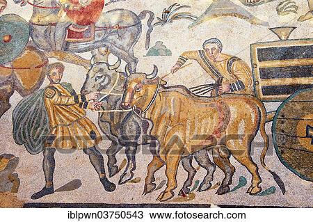 "Ancient Roman mosaic of a bull wagon, at the Villa Romana del Casale, near Piazza Armerina, Sicily, Italy, Europe" View Large Photo Image Stock Image - "Ancient Roman mosaic of a bull wagon, at the Villa Romana del Casale, near Piazza Armerina, Sicily, Italy, Europe". Fotosearch