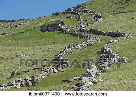 "Ancient walls that limit the sheep's way during a sheep drive, Mykines, Mykines, Faroe Islands, Denmark, Europe" View Large Photo Image Stock Image - "Ancient walls that limit the sheep's way during a sheep drive, Mykines, Mykines, Faroe Islands, Denmark, Europe". Fotosearch