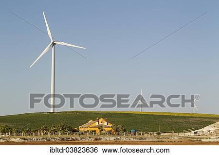 Stock Photograph - "Andalusian country estate in front of a windmill, near Sanlucar de Barrameda, Cadiz province, Andalucia, Spain, Europe". Fotosearch