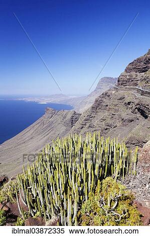 Stock Photography - "Anden Verde, west coast with Puerto de las Nieves and Mt Faneque, Gran Canaria, Canary Islands, Spain, Europe". Fotosearch