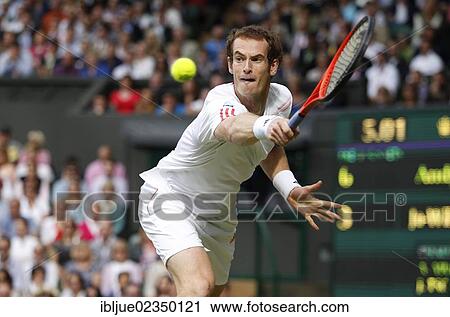 "Andy Murray, GBR, men's semi-final match, Wimbledon Championships 2012 AELTC, ITF Grand Slam Tennis Tournament, London, England, United Kingdom, Europe" View Large Photo Image Stock Image - "Andy Murray, GBR, men's semi-final match, Wimbledon Championships 2012 AELTC, ITF Grand Slam Tennis Tournament, London, England, United Kingdom, Europe". Fotosearch