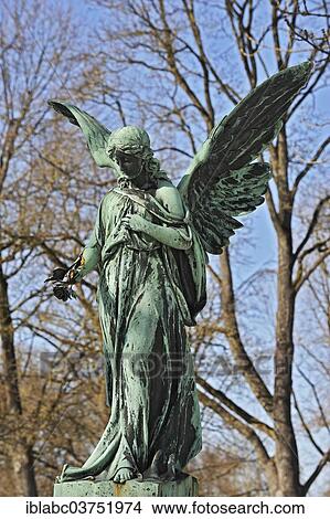 Picture - "Angel statue with rose, Westfriedhof, Munich, Upper Bavaria, Bavaria, Germany, Europe". Fotosearch