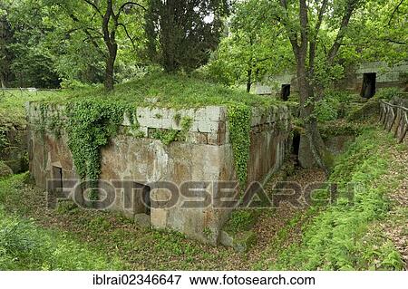 "Antique cube grave, Tomba Marce Ursus, Etruscan Necropolis of La Banditaccia, Necropoli della Banditaccia, Cerveteri, province of Rome, Lazio region, Italy, Europe" View Large Photo Image Stock Photo - "Antique cube grave, Tomba Marce Ursus, Etruscan Necropolis of La Banditaccia, Necropoli della Banditaccia, Cerveteri, province of Rome, Lazio region, Italy, Europe". Fotosearch