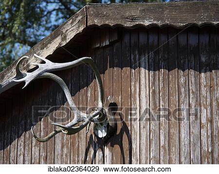 "Antlers, hut, Haltern am See, Muenster, North Rhine-Westphalia, Germany, Europe" View Large Photo Image Stock Photo - "Antlers, hut, Haltern am See, Muenster, North Rhine-Westphalia, Germany, Europe". Fotosearch