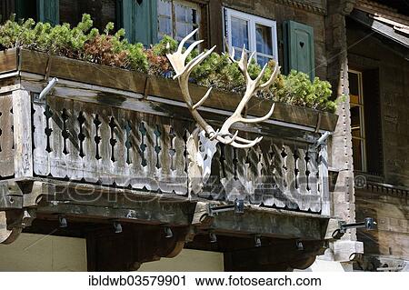 "Antlers on the railings of a balcony, Gstaad, Bernese Oberland, Canton of Bern, Switzerland, Europe" View Large Photo Image Stock Image - "Antlers on the railings of a balcony, Gstaad, Bernese Oberland, Canton of Bern, Switzerland, Europe". Fotosearch