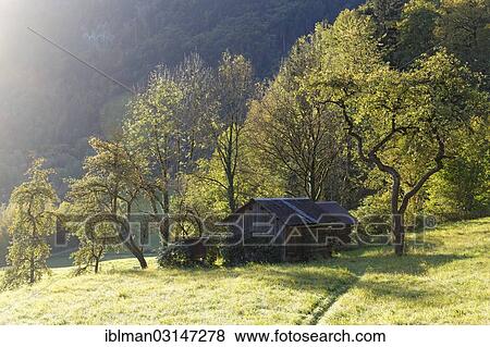 Stock Photo - "Apiary in autumn, Burs, Vorarlberg, Austria, Europe". Fotosearch